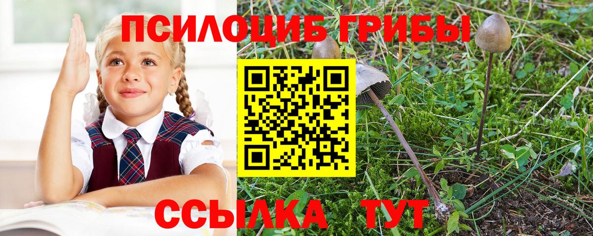 Галлюциногенные грибы мицелий Барнаул