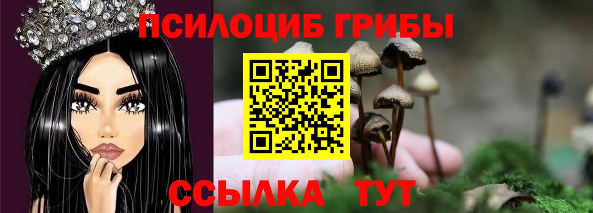 Галлюциногенные грибы GOLDEN TEACHER  Вход с VPN  Барнаул 