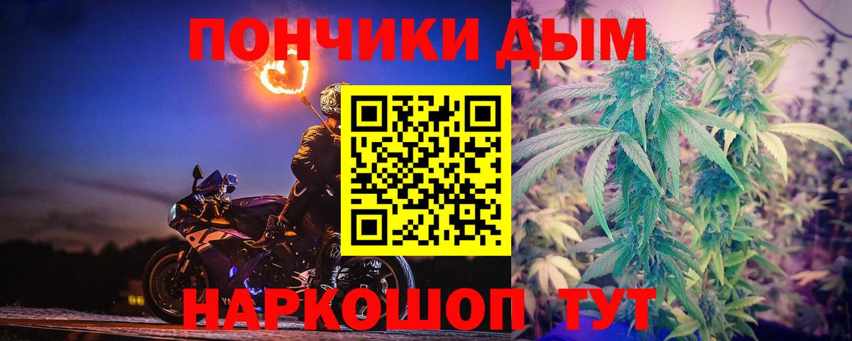 Бошки Шишки сатива Барнаул
